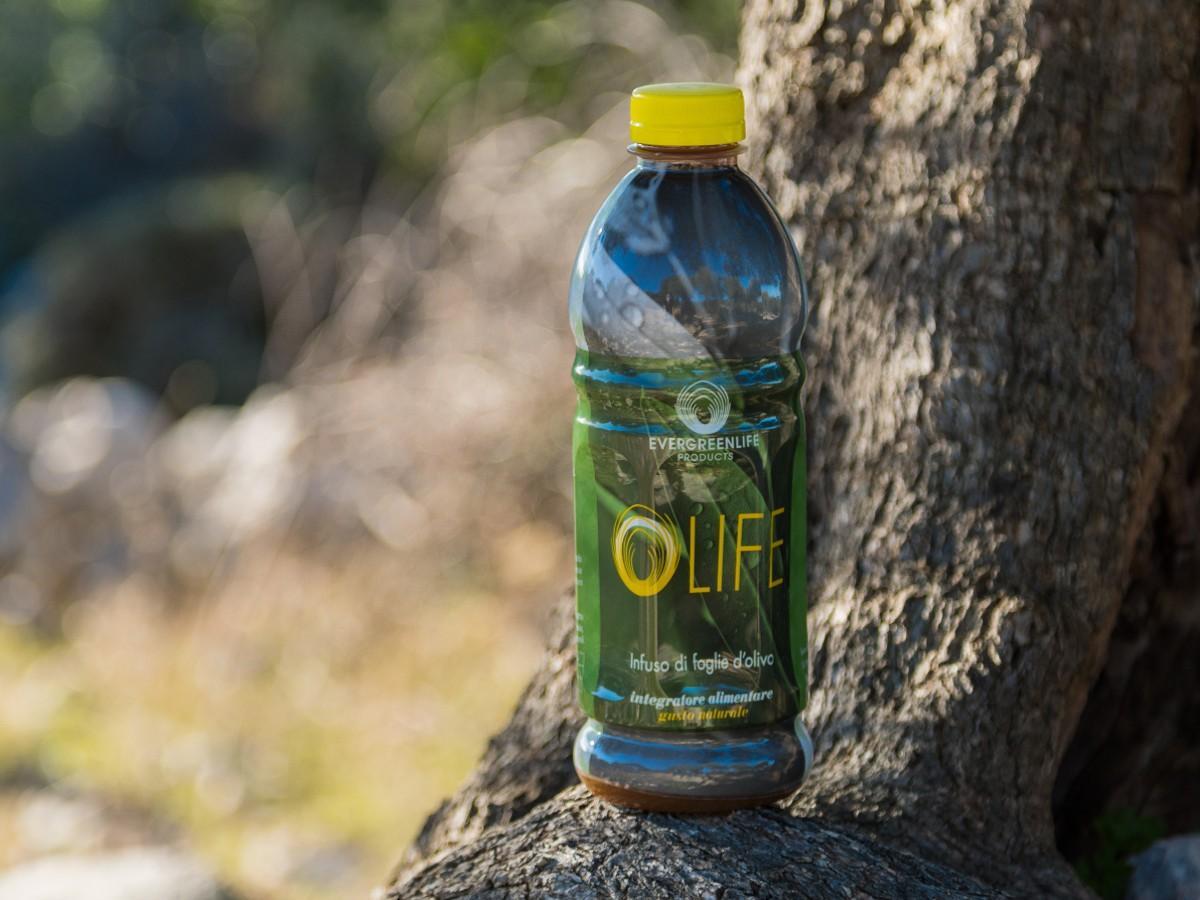 olife linfuso di foglie di olivo di evergreen life